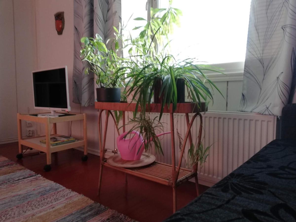 Kodit Tuulikinkatu 米凯利 外观 照片